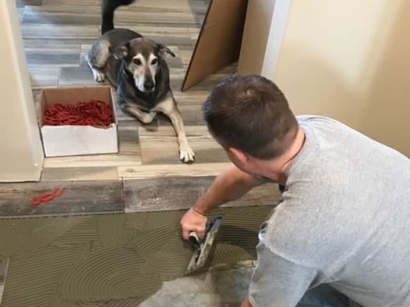 Housesitting assignment in Glyndon, Minnesota, United States