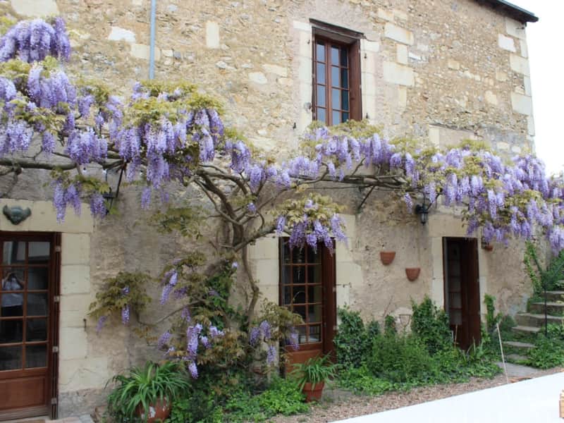 Housesitting assignment in Montreuil-Bellay, France