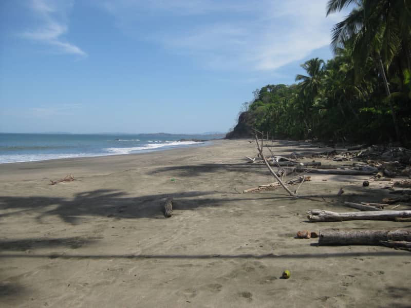 Housesitting assignment in Morrillo, Panama