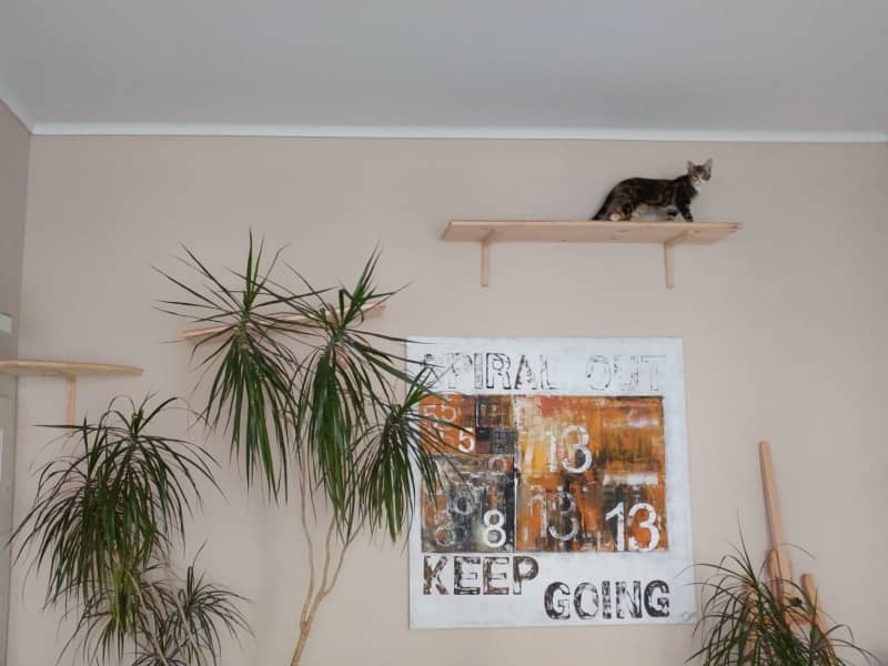 Housesitting assignment in Hannover, Germany