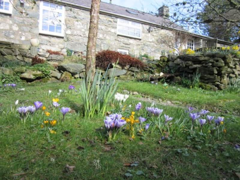 Housesitting assignment in Llanfachreth, United Kingdom