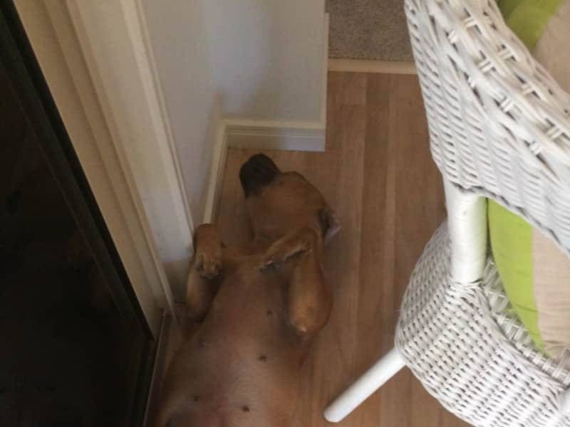 Lisa from Elwood, Victoria, Australia