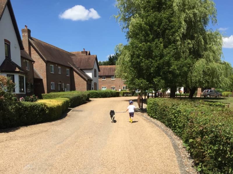 Housesitting assignment in Charlwood, United Kingdom