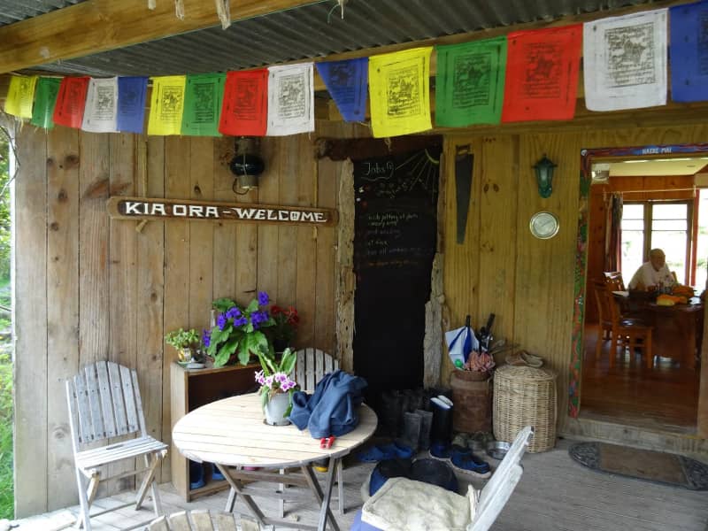 Housesitting assignment in Kohukohu, New Zealand