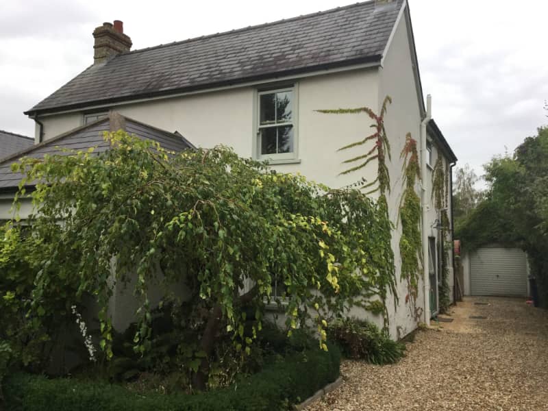 Housesitting assignment in Cambridge, United Kingdom