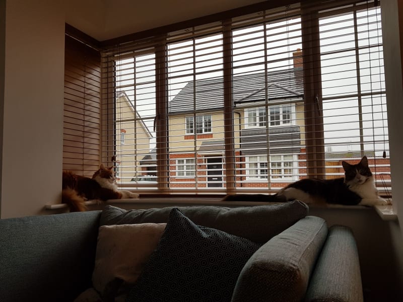 Housesitting assignment in Evesham, United Kingdom