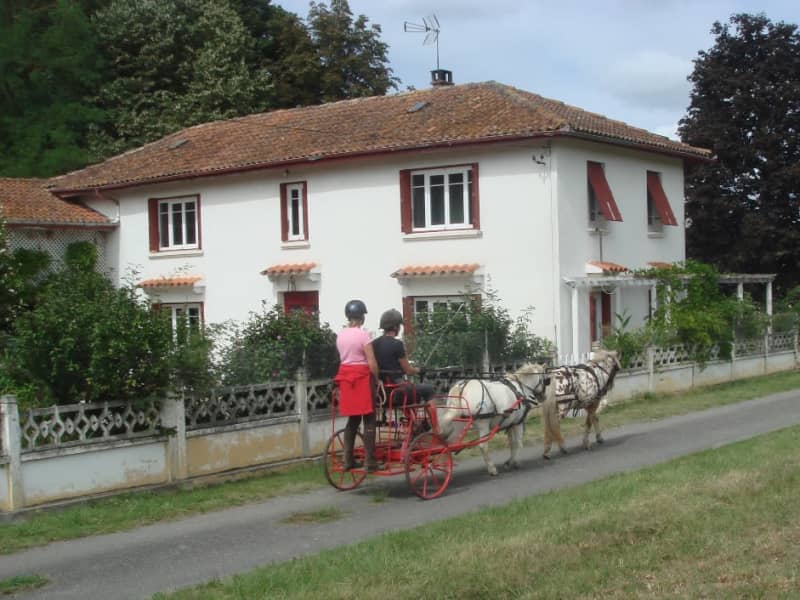 Housesitting assignment in Castelnau-Magnoac, France