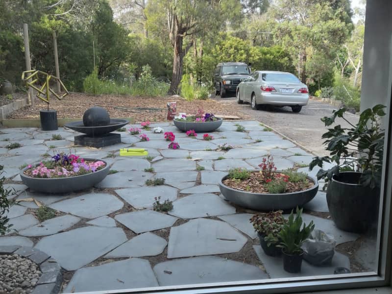 Housesitting assignment in Frankston South, Victoria, Australia
