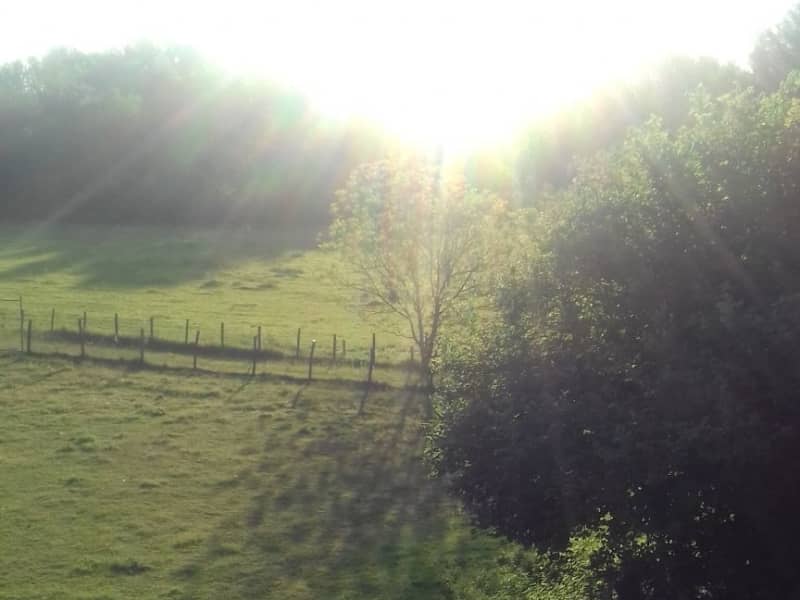 Housesitting assignment in Charnoz-sur-Ain, France