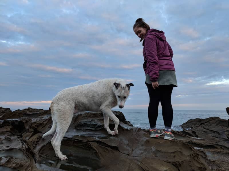 Housesitting assignment in Craigieburn, Victoria, Australia