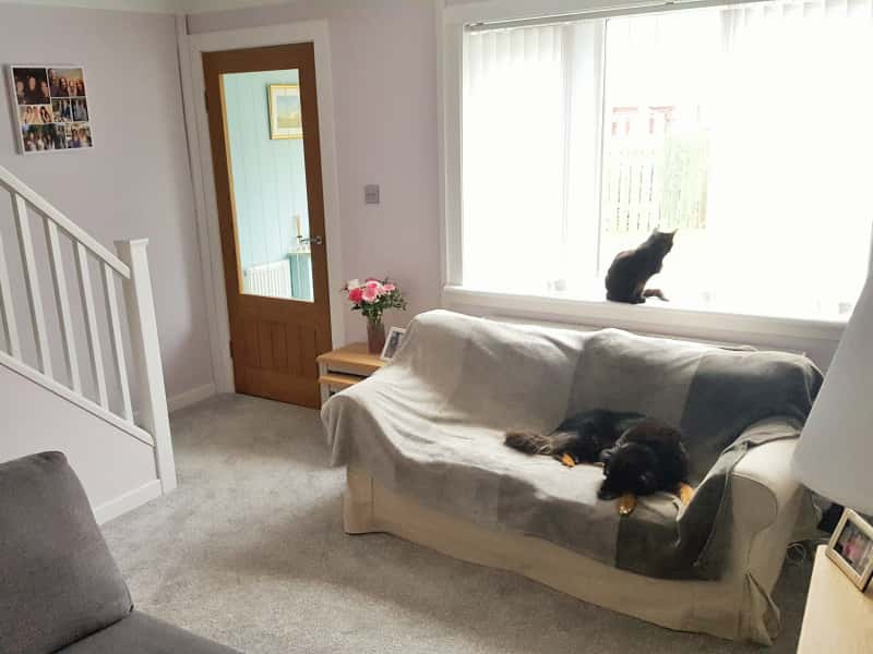 Housesitting assignment in Johnstone, United Kingdom