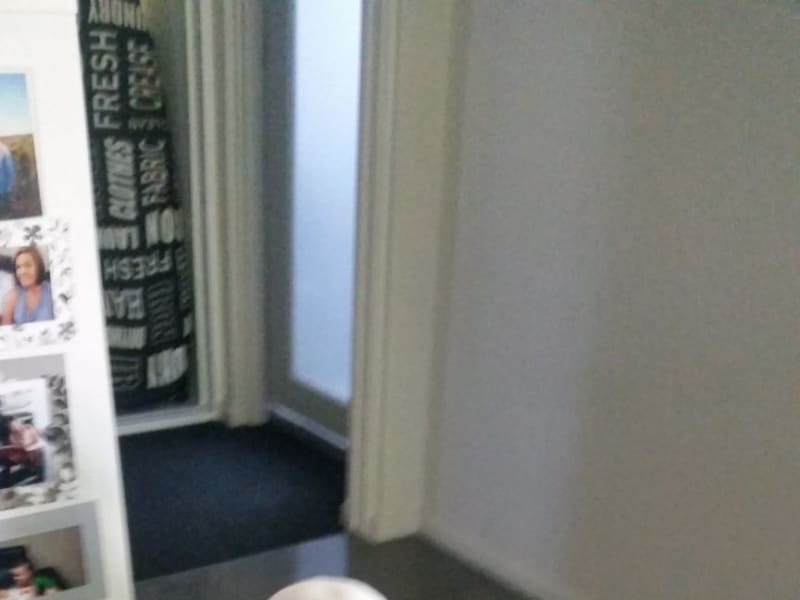 Housesitting assignment in Kiama, New South Wales, Australia