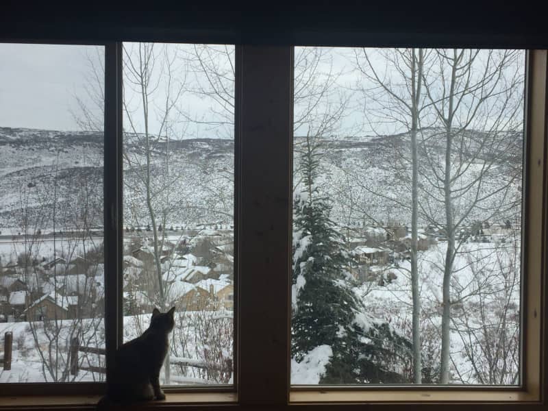 Housesitting assignment in Park City, Utah, United States