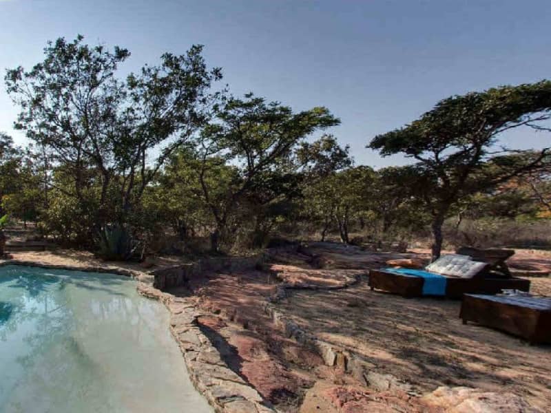 Housesitting assignment in Vaalwater, South Africa