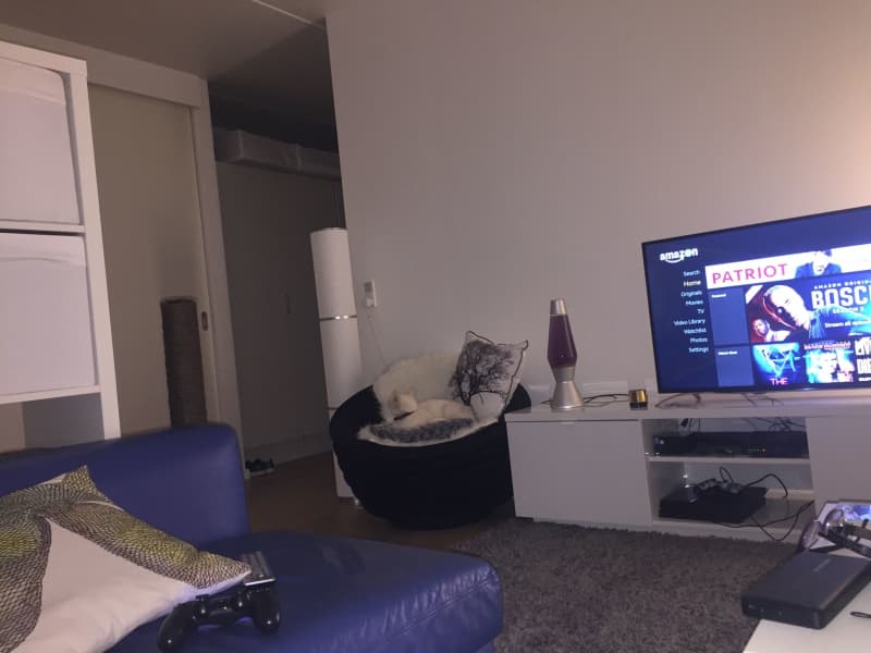 Housesitting assignment in Copenhagen, Denmark