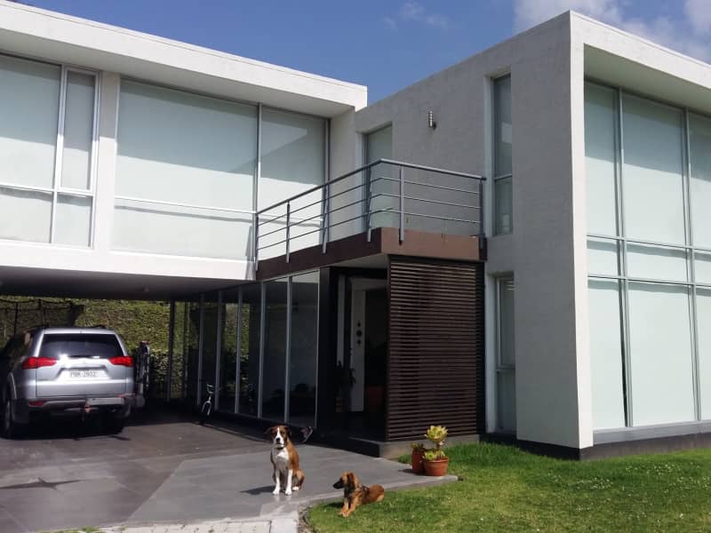 Housesitting assignment in Quito, Ecuador