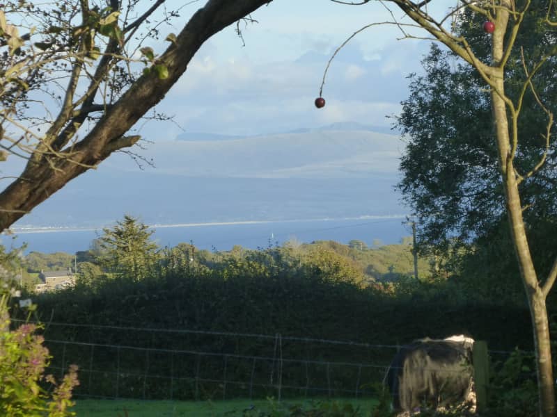 Housesitting assignment in Pwllheli, United Kingdom