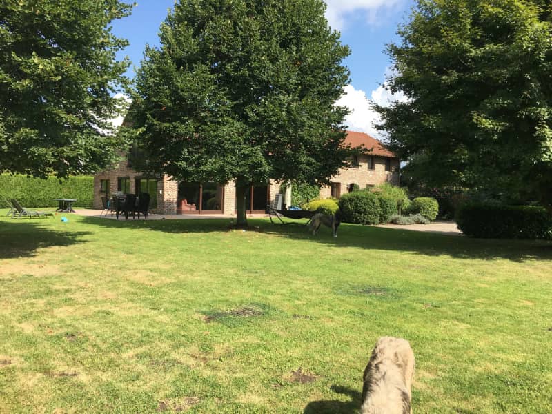 Housesitting assignment in Begijnendijk, Belgium