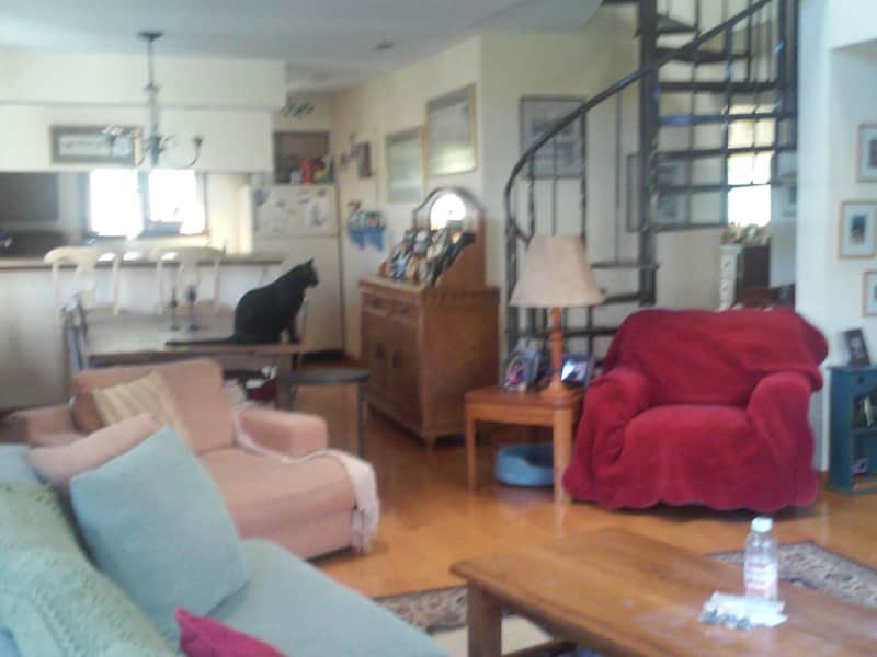 Housesitting assignment in Eagle-Vail, Colorado, United States