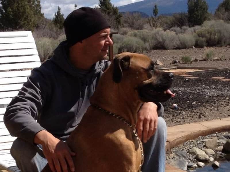 Housesitting assignment in Weed, California, United States