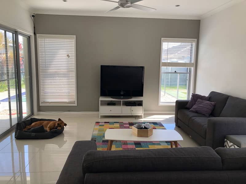 Housesitting assignment in Wurtulla, Queensland, Australia