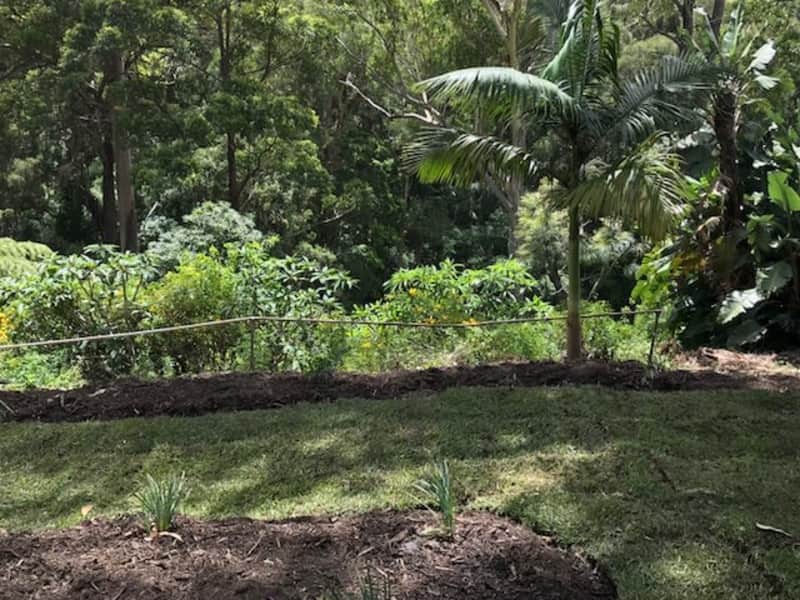 Housesitting assignment in Repton, New South Wales, Australia