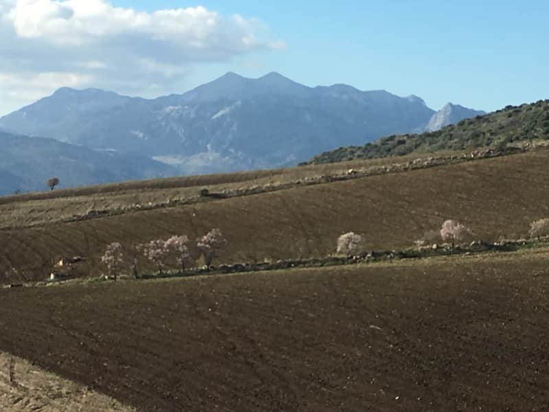 Housesitting assignment in Montecorto, Spain