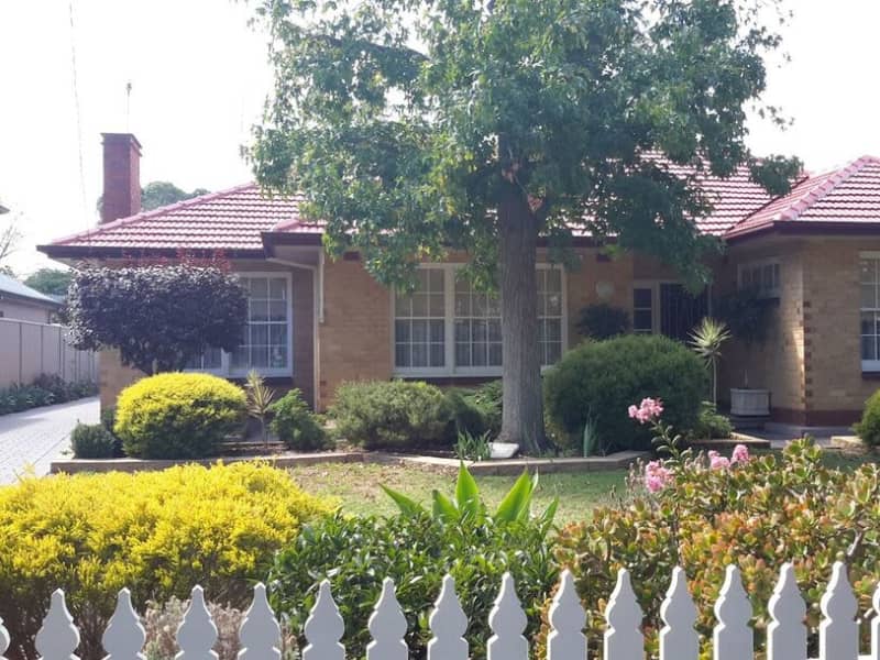 Housesitting assignment in Brighton, South Australia, Australia