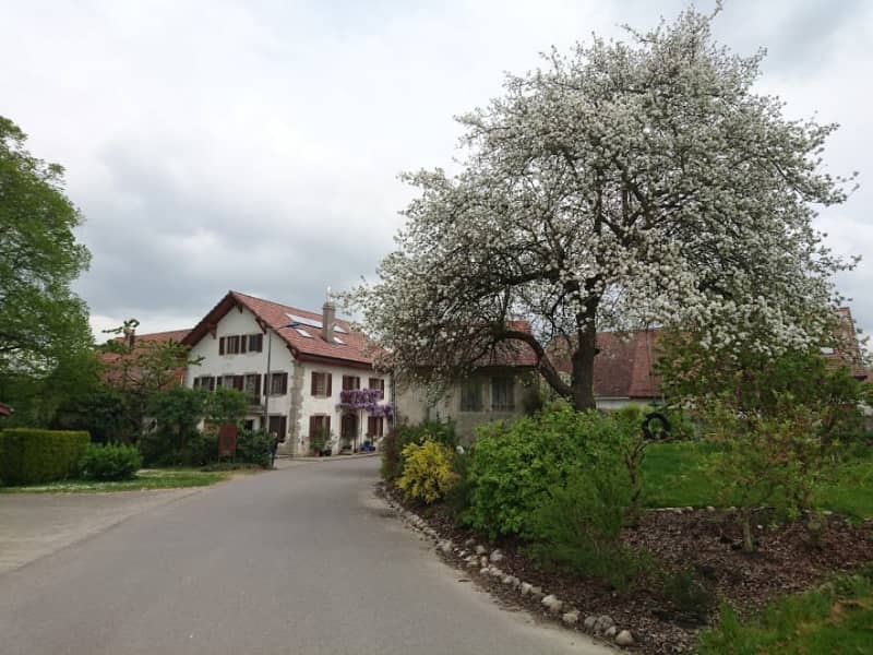 Housesitting assignment in Champtauroz, Switzerland