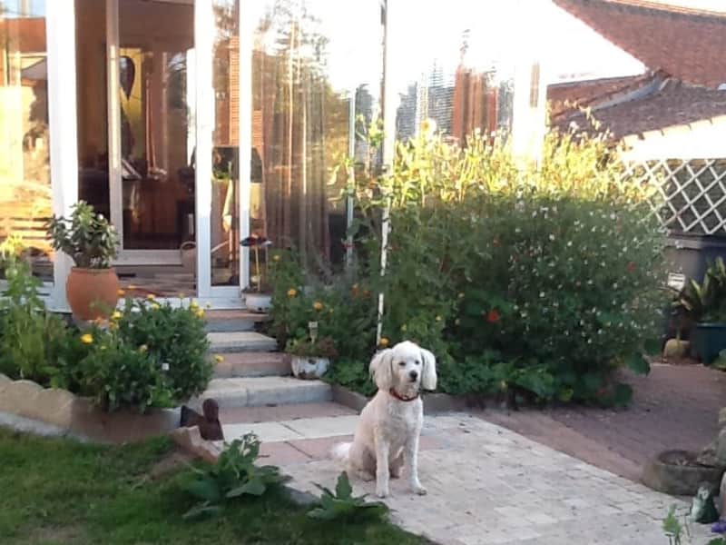 Housesitting assignment in La Roche-sur-Yon, France