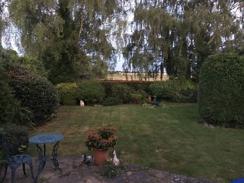 Housesitting assignment in Doncaster, United Kingdom
