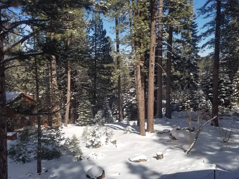Housesitting assignment in Truckee, California, United States