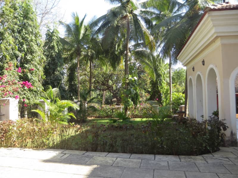 Housesitting assignment in Goa Velha, India