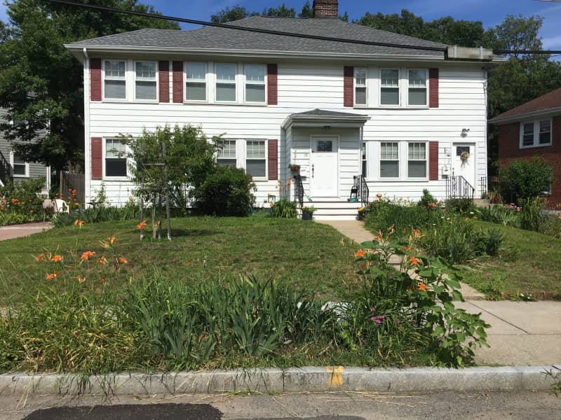 Housesitting assignment in Newton, Massachusetts, United States