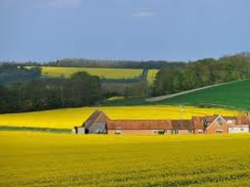 Housesitting assignment in Newbury, United Kingdom