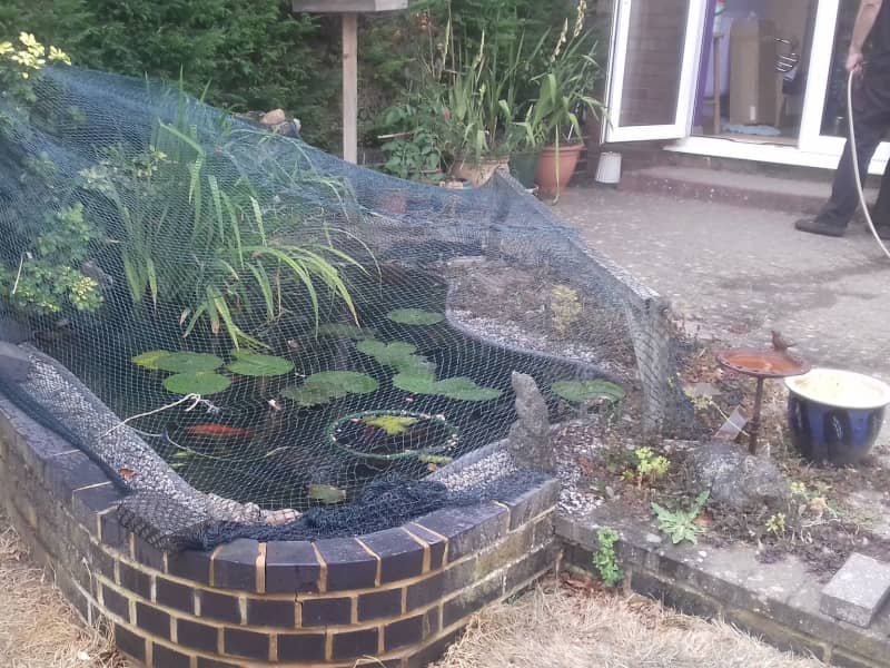 Housesitting assignment in Bromham, United Kingdom