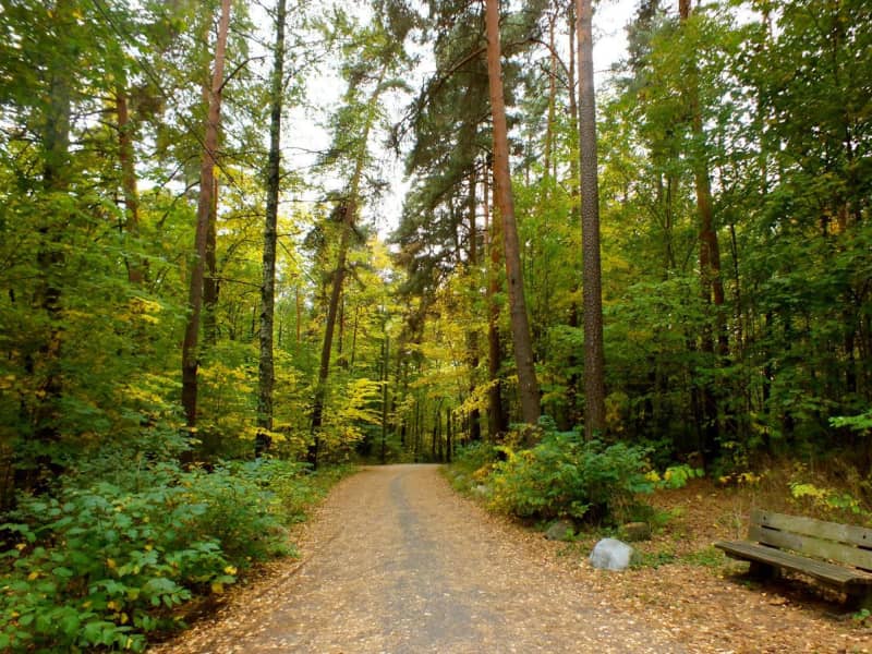 Housesitting assignment in Oslo, Norway