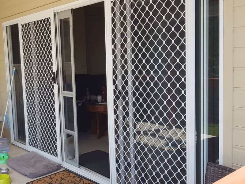 Housesitting assignment in Kirrawee, New South Wales, Australia
