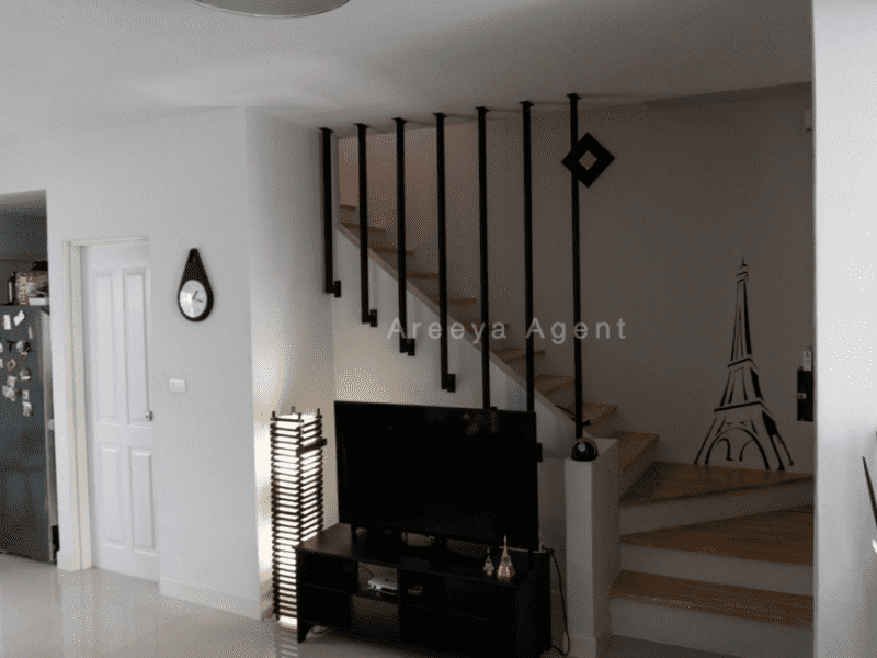 Housesitting assignment in Bangkok, Thailand
