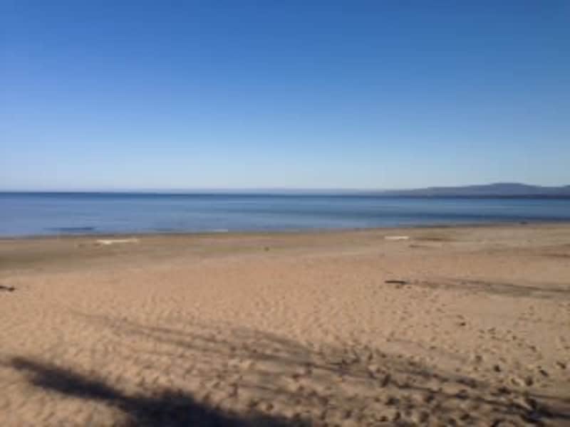 Housesitting assignment in Slave Lake, Alberta, Canada