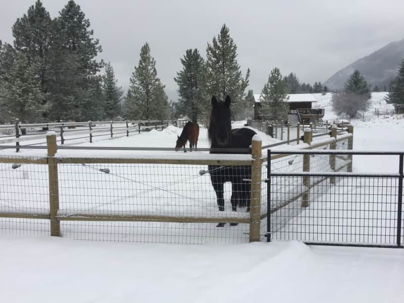 Housesitting assignment in Nelson, British Columbia, Canada