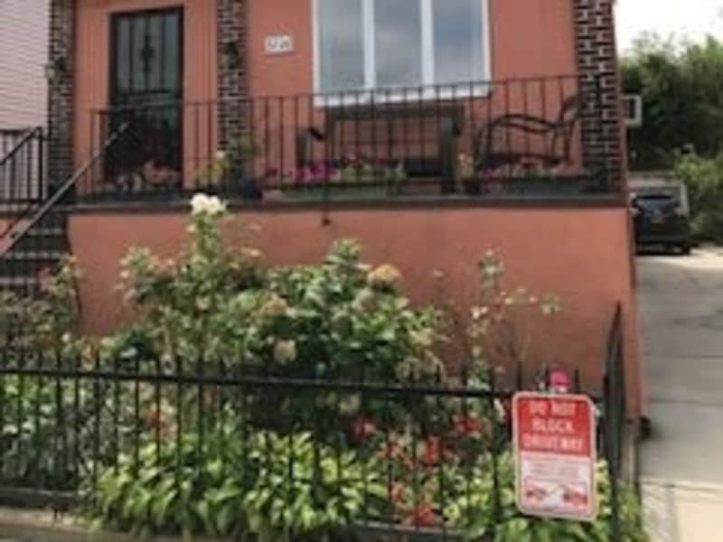 Housesitting assignment in Brooklyn, New York, United States