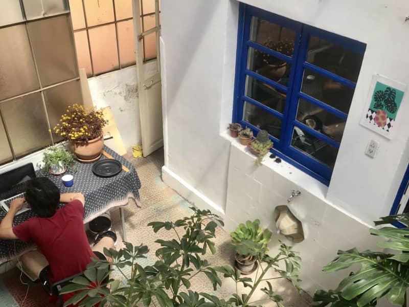 Housesitting assignment in Cusco, Peru