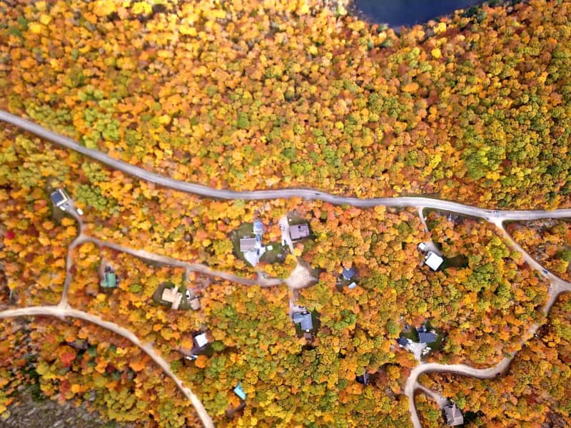 Housesitting assignment in Cantley, Quebec, Canada