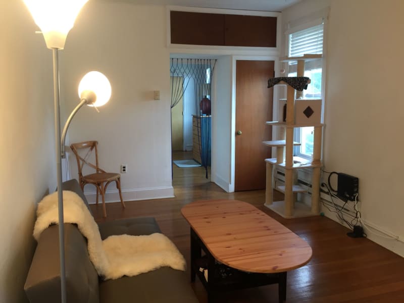 Housesitting assignment in Philadelphia, Pennsylvania, United States