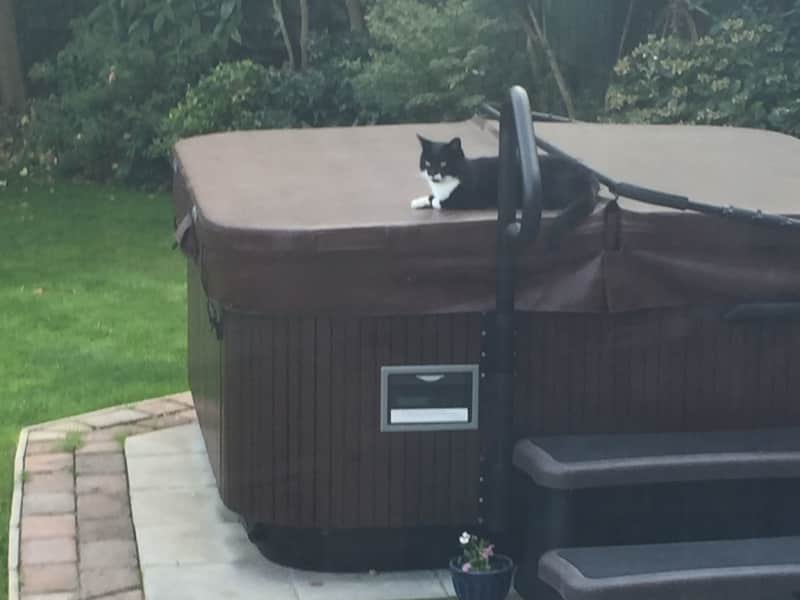 Housesitting assignment in Old Hall Green, United Kingdom