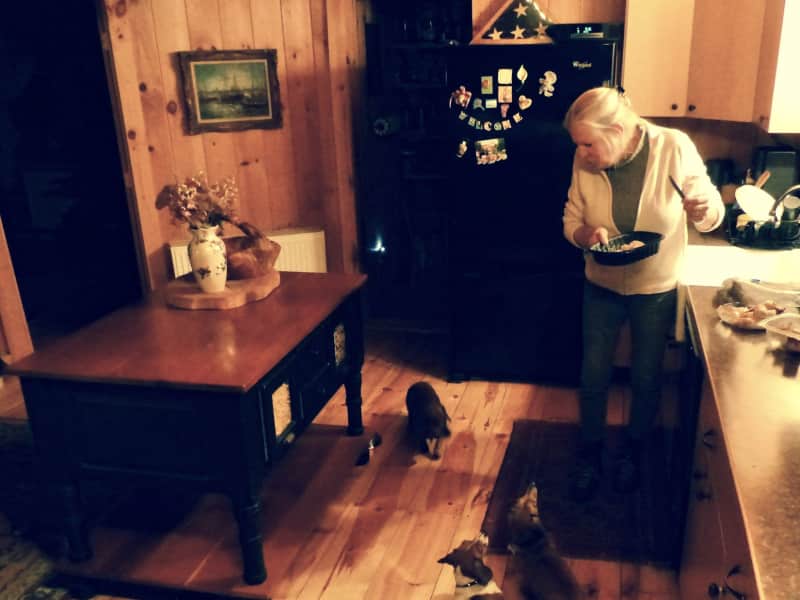 Housesitting assignment in Londonderry, Vermont, United States
