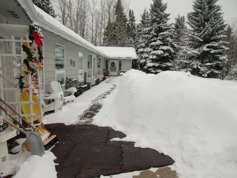 Housesitting assignment in Wetaskiwin, Alberta, Canada