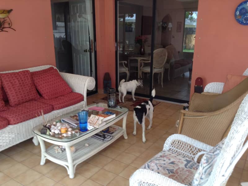 Housesitting assignment in Naples Park, Florida, United States
