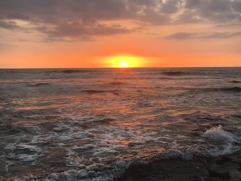 Housesitting assignment in Kailua-Kona, Hawaii, United States